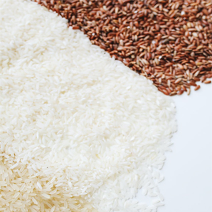 散裝大米全自動(dòng)輸送包裝線